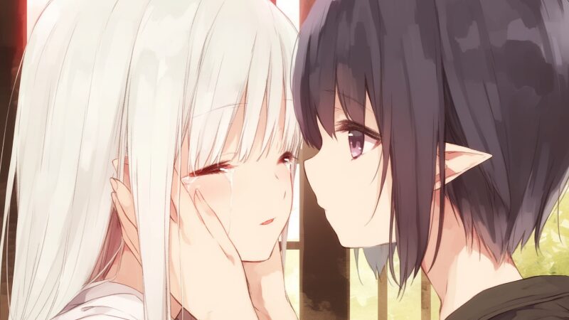 ココの正体と過去の真相